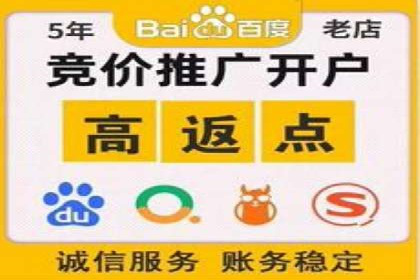 百度竞价包年推广策略——某行业巨头的成功经验
